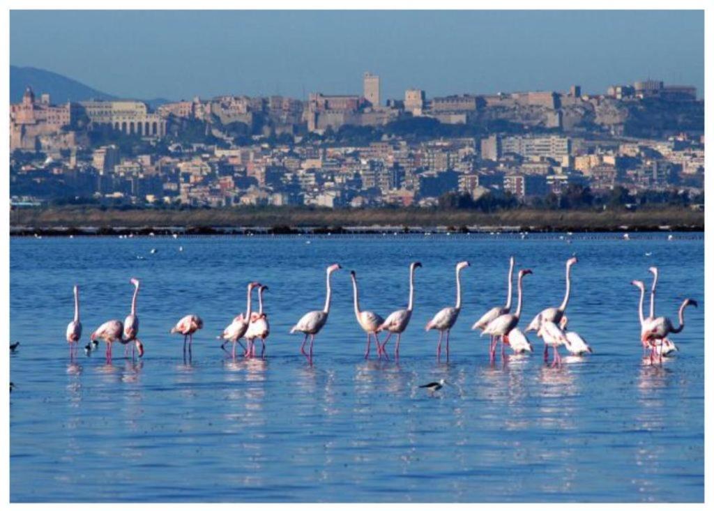 Casa Andrea A 1,5 Km Dal Mare! Appartement Quartu SantʼElena Buitenkant foto